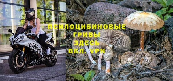 сатива Алексеевка